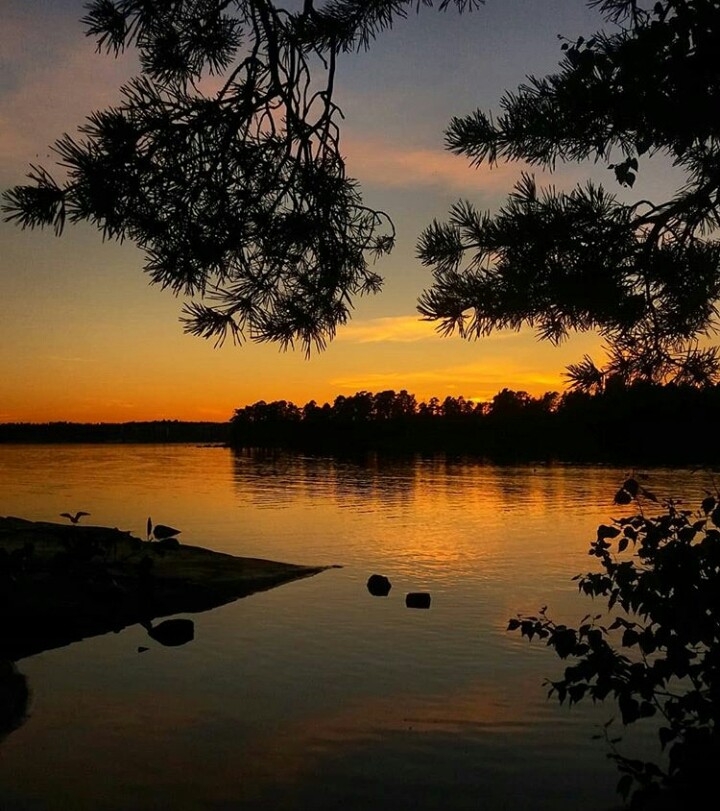 evening