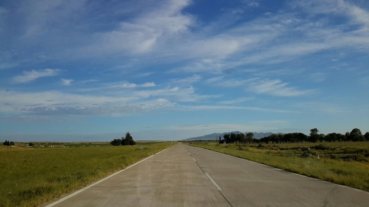 Ruta