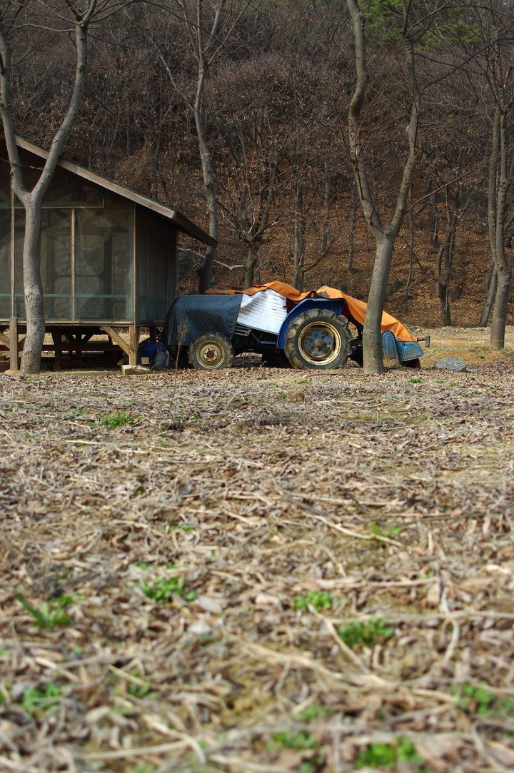Agriculture