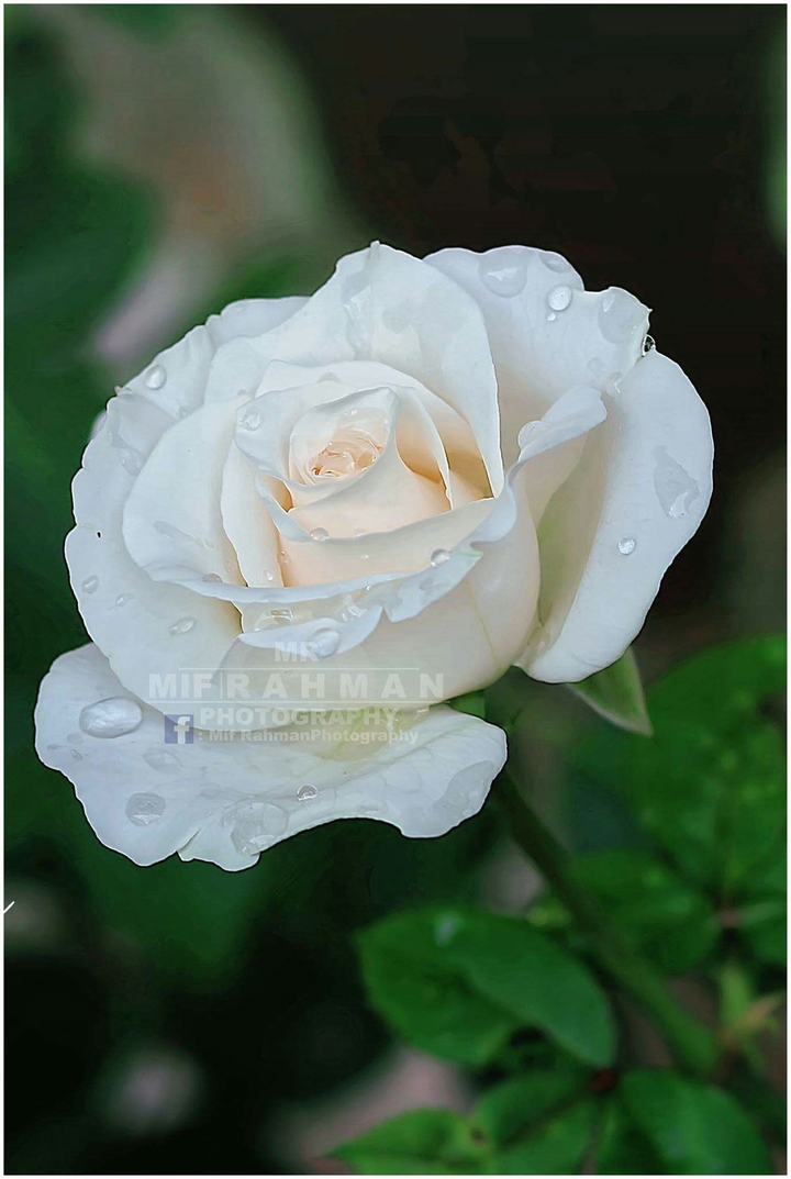 for you