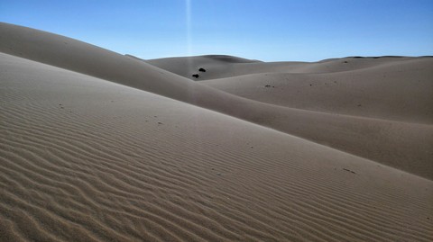 Dunes of Sahara