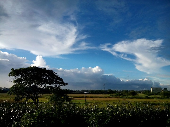 Landscape