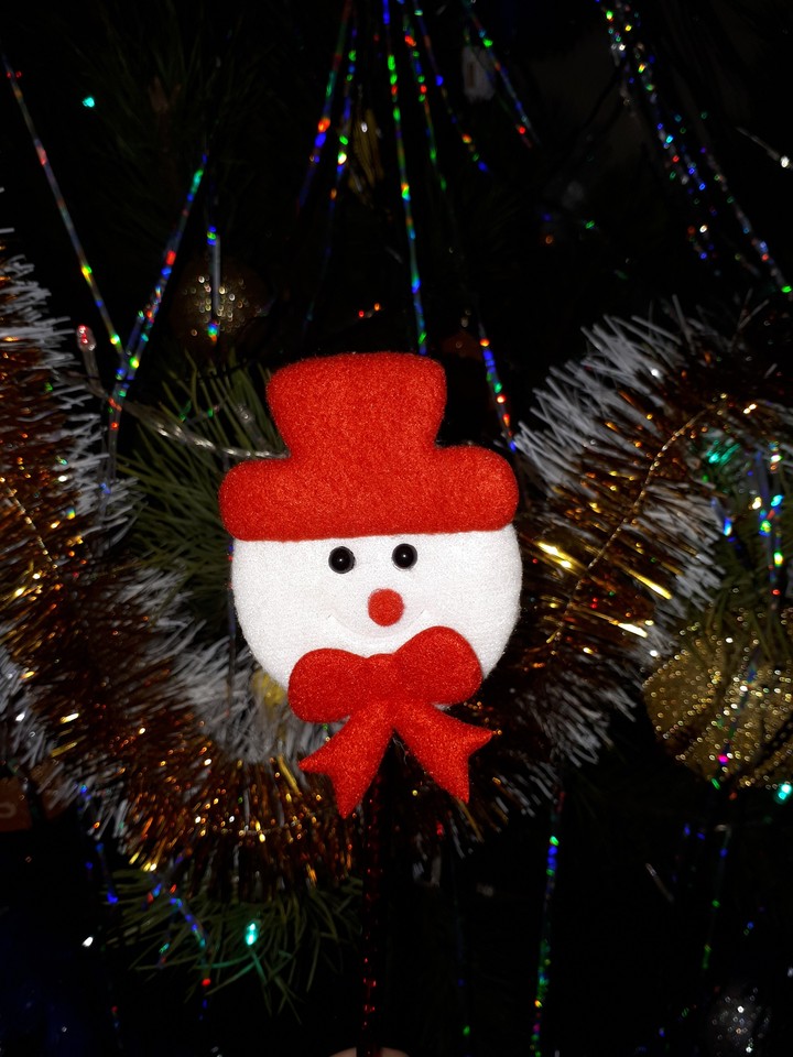 Merry Christmas☆