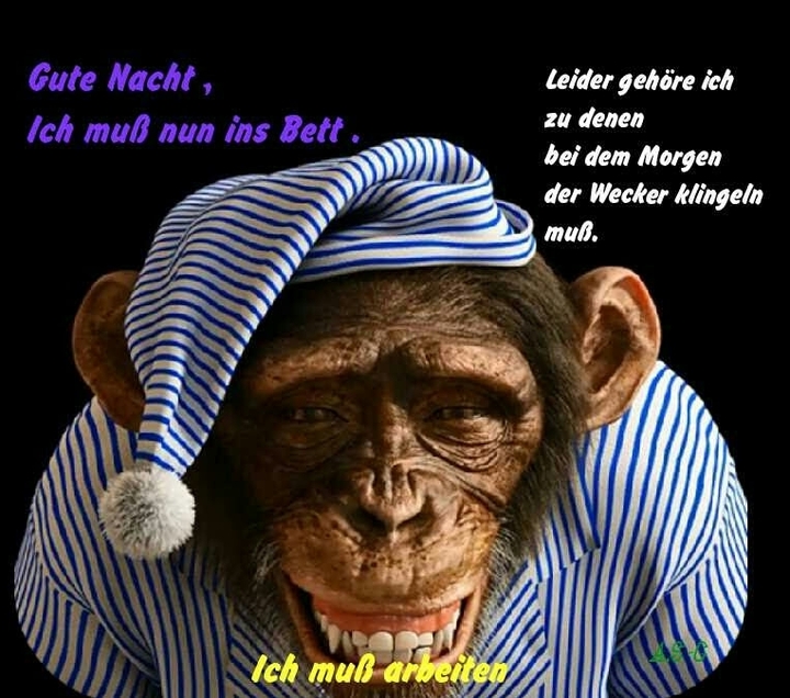 Gute Nacht
