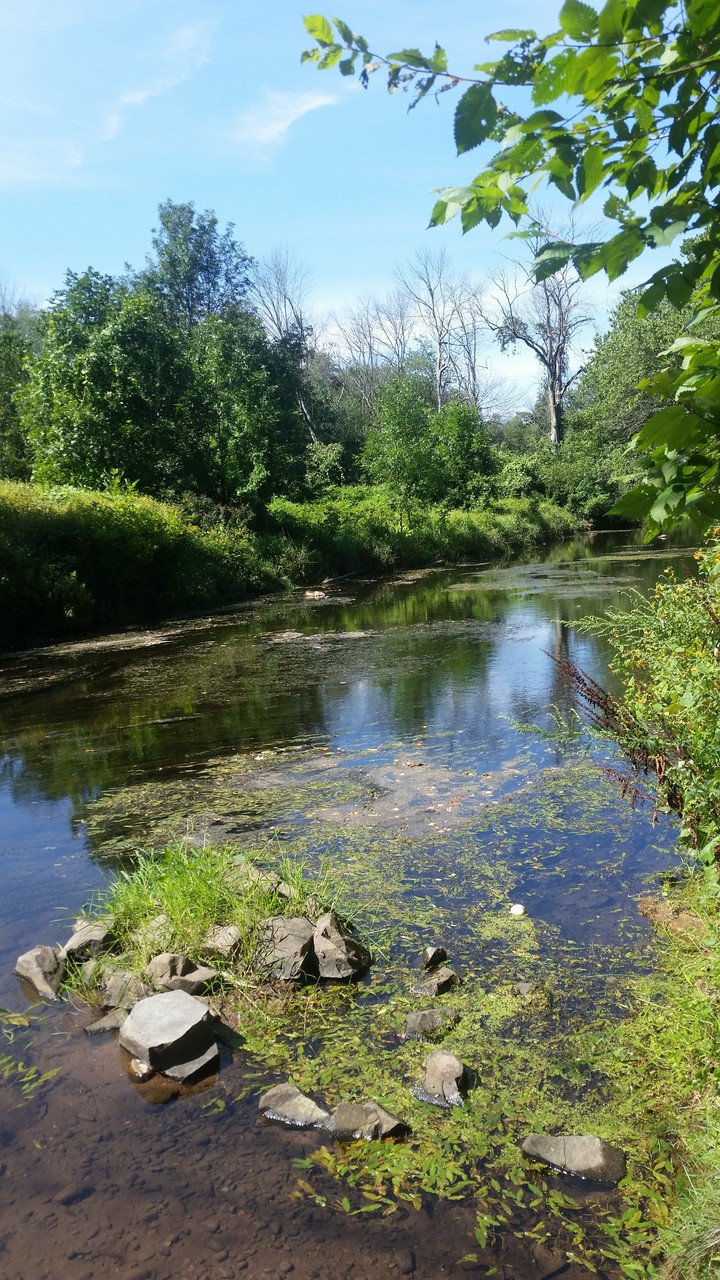 Sleeping Giant State Park of Ct/Ma in the USA