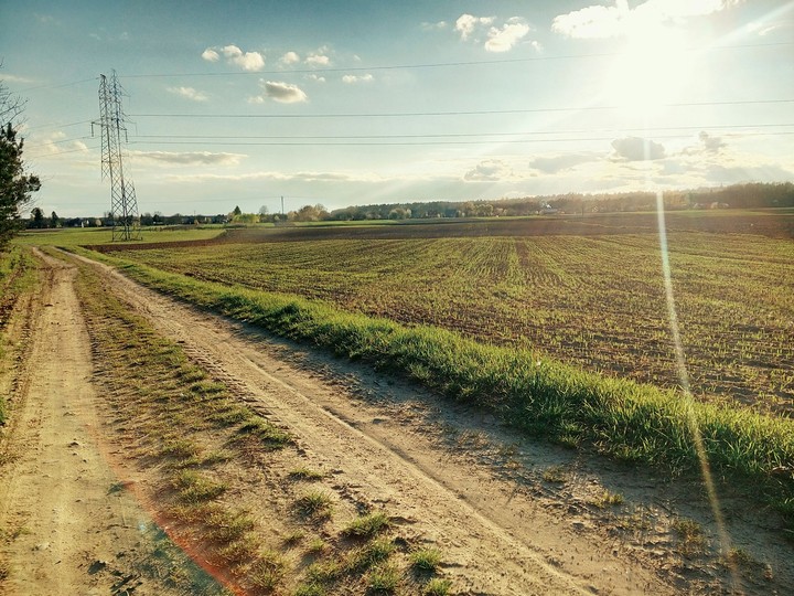 Landscape of Wólka Ogryzkowa