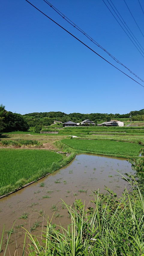 Blue sky