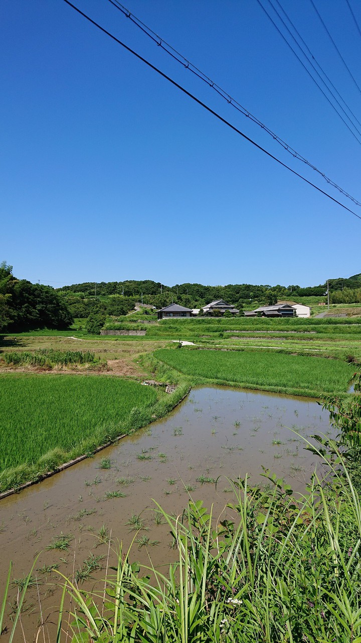 Blue sky
