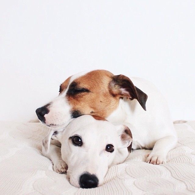 ❤️