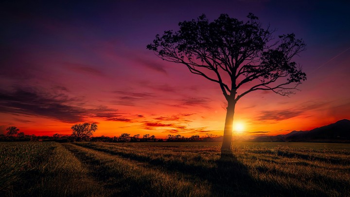 Sunset seneary