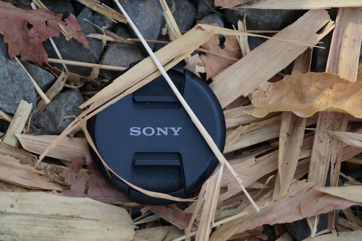 SONY_68