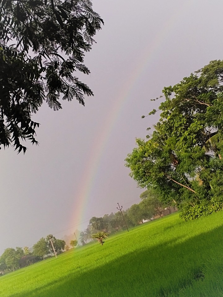 Rainbow