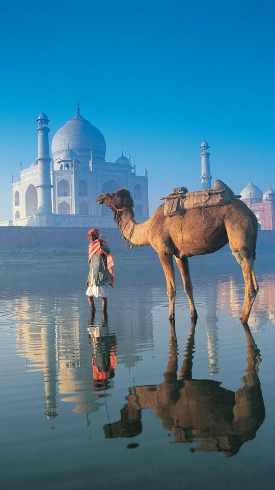 Taj mahal