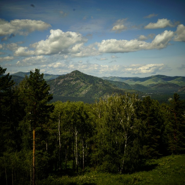 Алтай altay