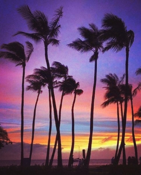 paradise on earth