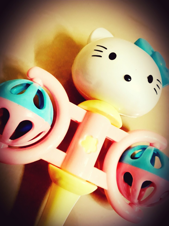 toy