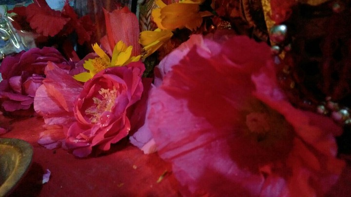 flowers