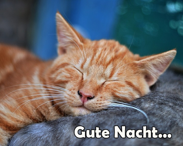 Good Night