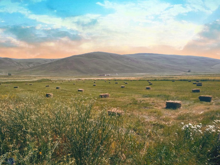 Binaların arasına sığmayan hayatlar.