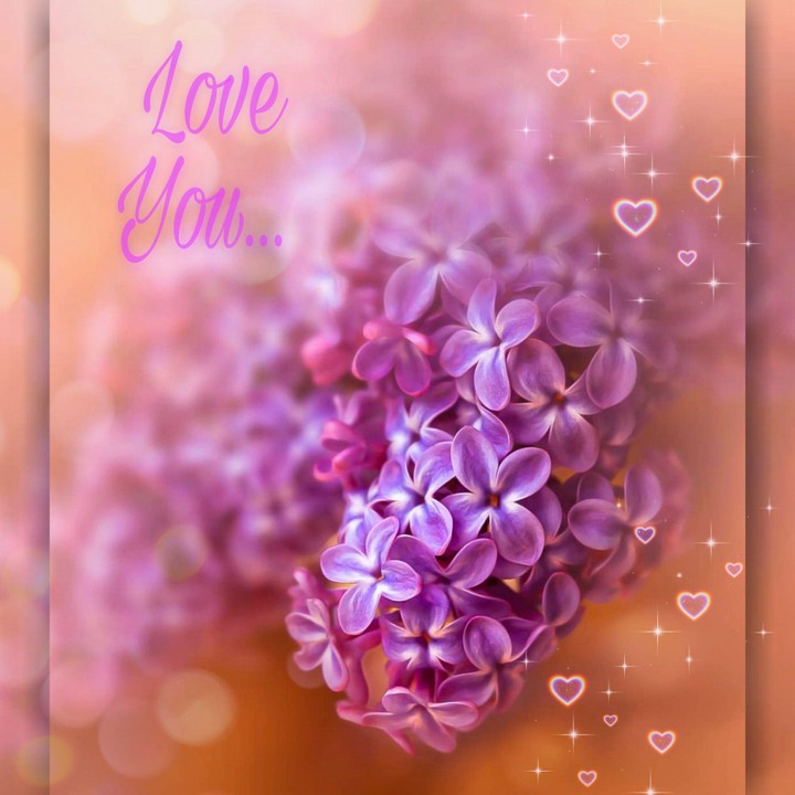 ❇️❤️❇️