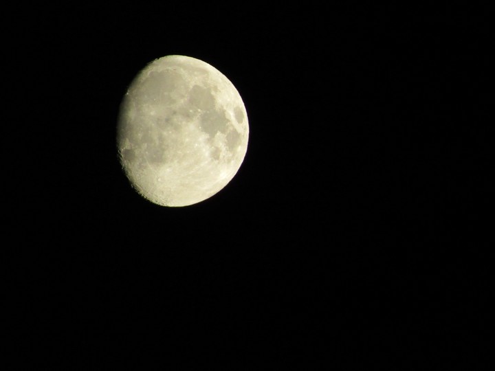 dancing in the dark In the pale moonlight 