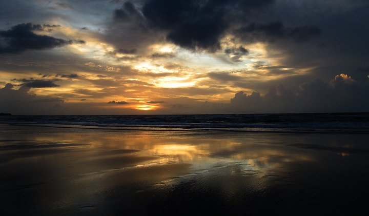 Wild Sunset