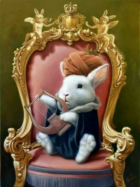 rabbit