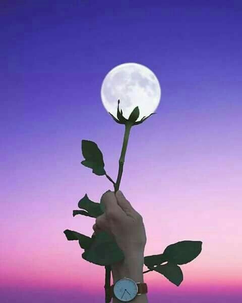 moon