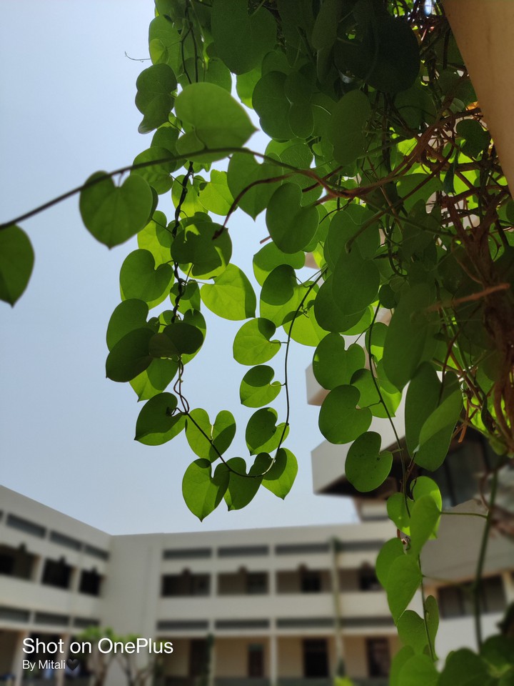 Love Nature❤️