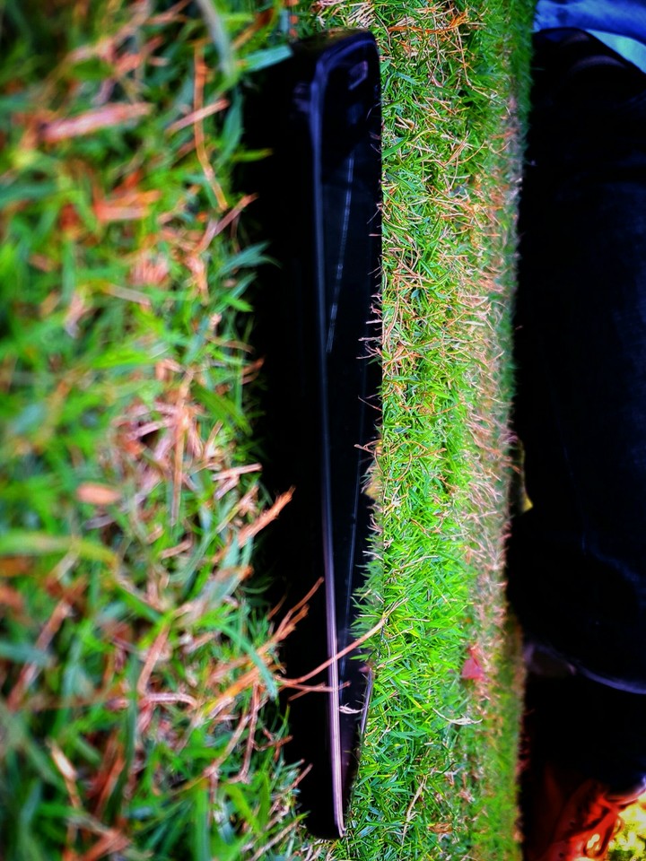 Grass with mobile