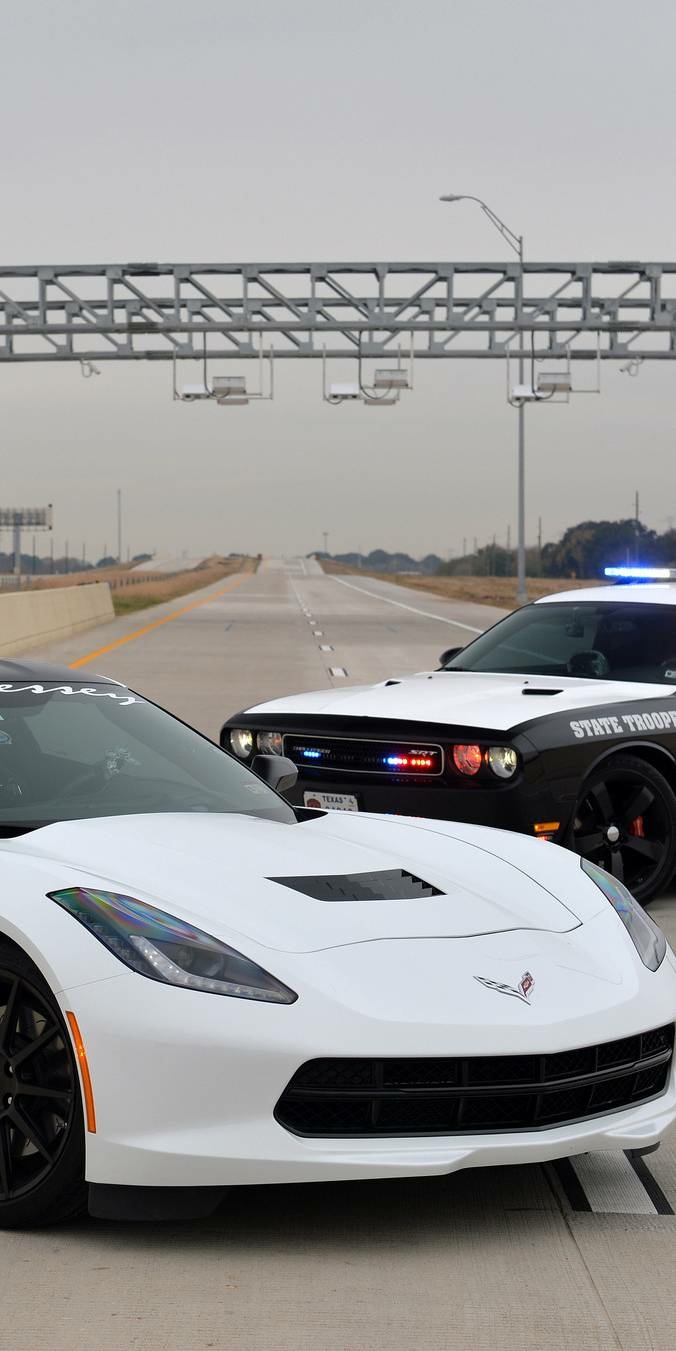 Muscle cars