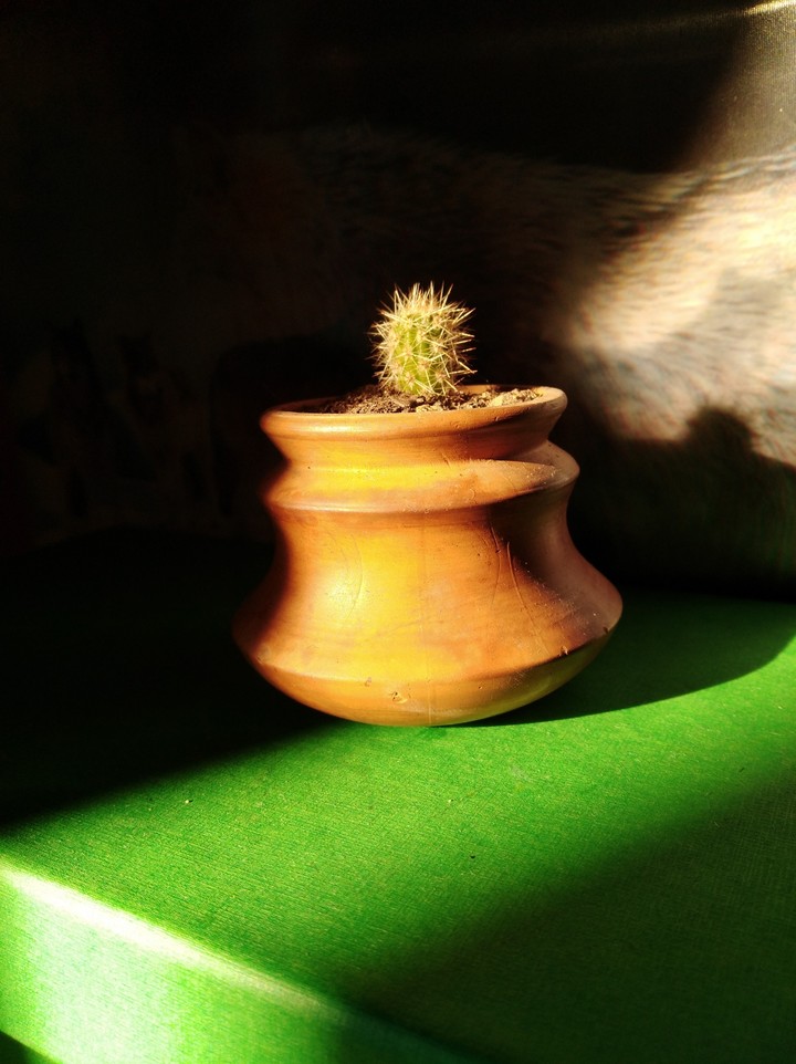 light