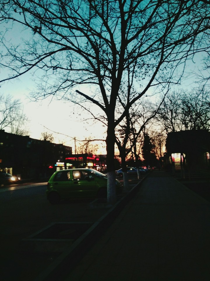 night