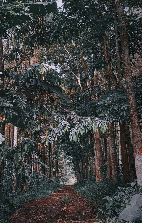 fonds d'écran landscape, Painting