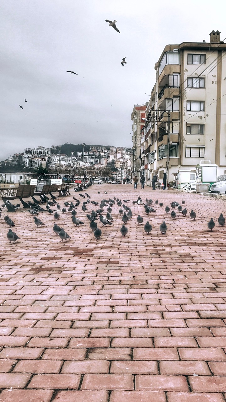 Bursa - Güzelyalı