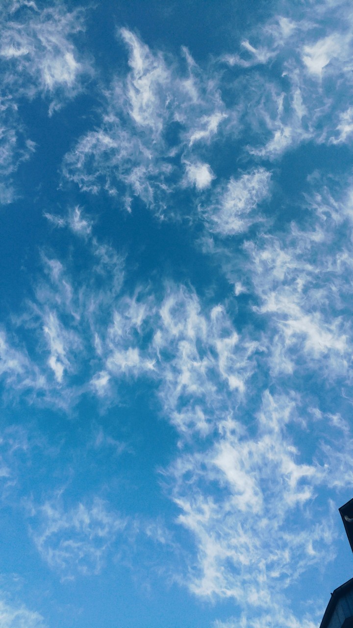 cirrus