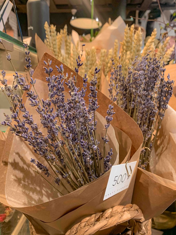 Lavanda