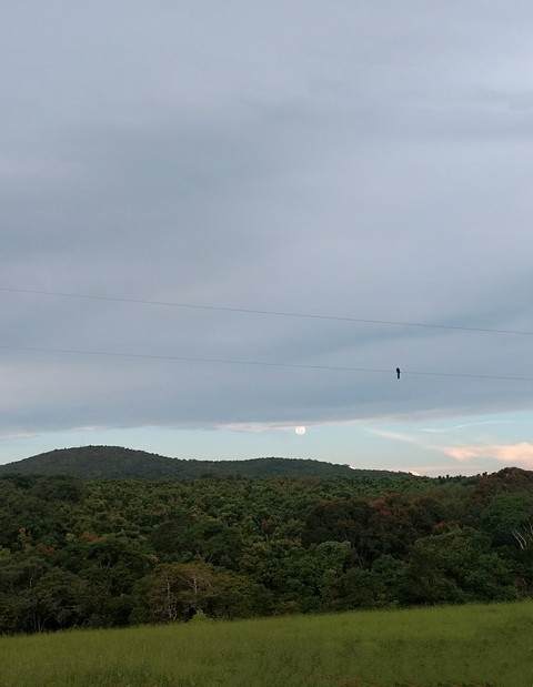 Uma tarde