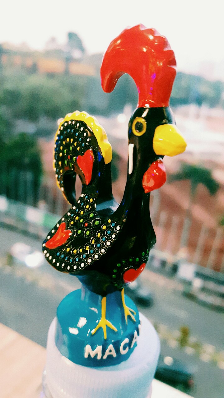 Portugal Rooster