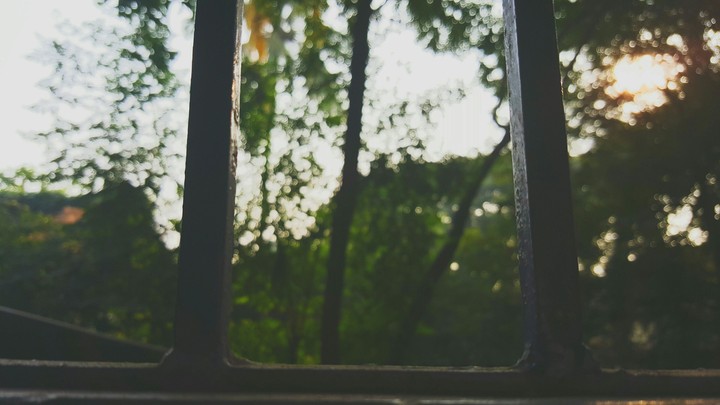 Sunrise bokeh