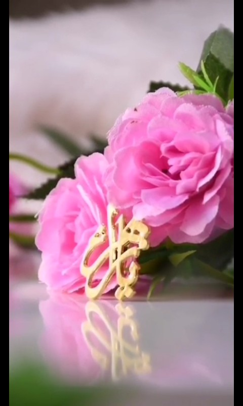 الزهراء (ع)