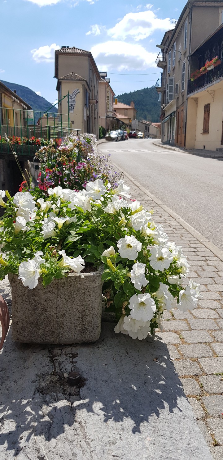 serre