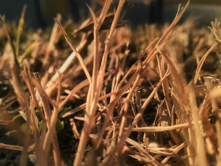 close 