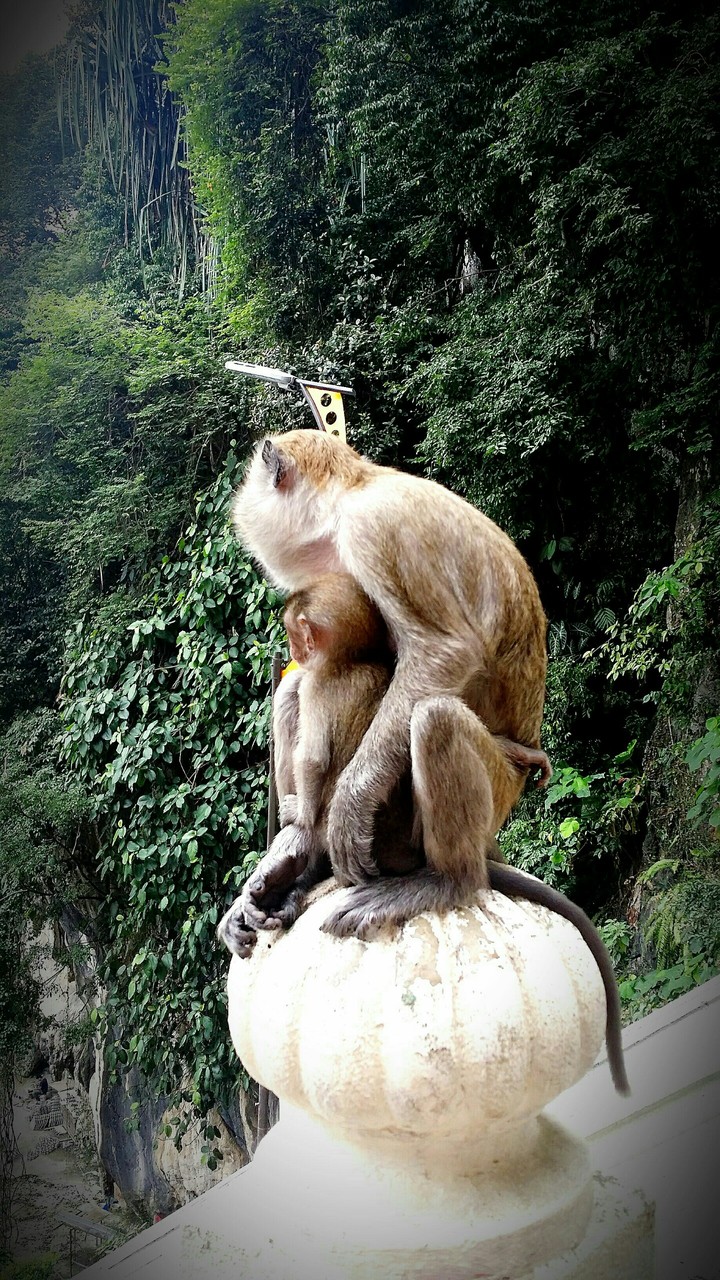 malaysia