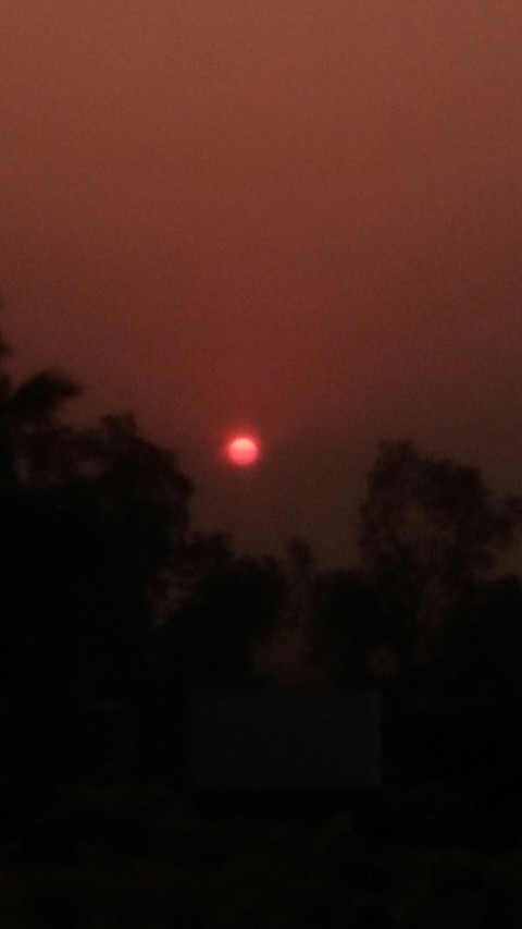 sun