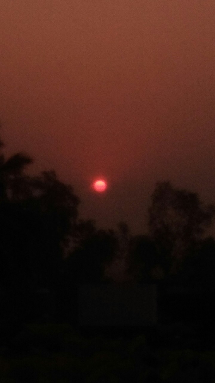 sun
