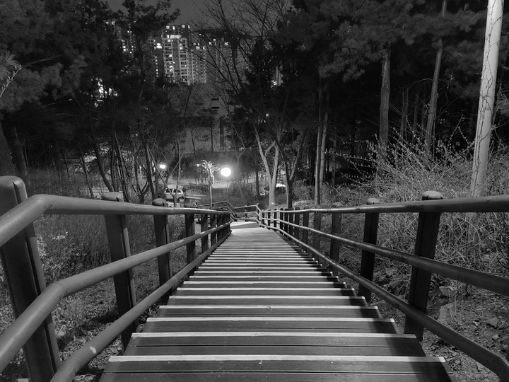 산책로 계단
