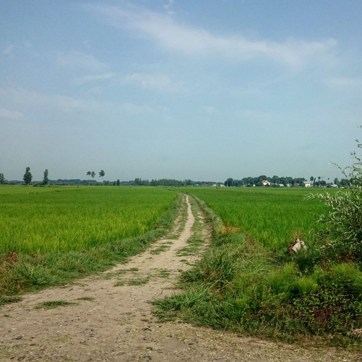 road
