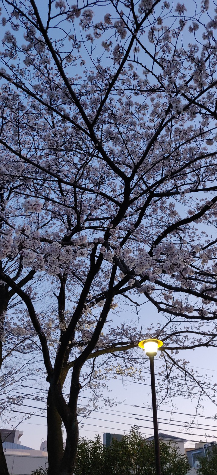 park