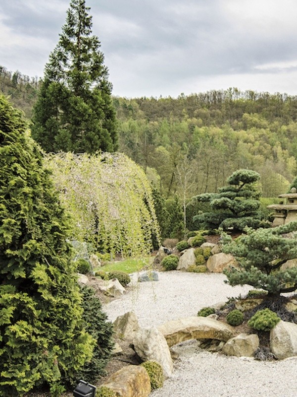 ?